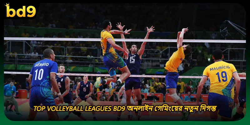 Top Volleyball Leagues BD9 অনলাইন গেমিংয়ের নতুন দিগন্ত