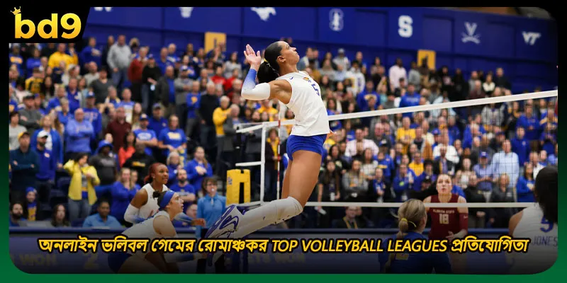 অনলাইন ভলিবল গেমের রোমাঞ্চকর Top Volleyball Leagues প্রতিযোগিতা