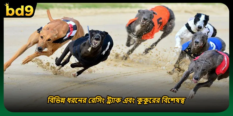 বিভিন্ন ধরনের রেসিং ট্র্যাক এবং কুকুরের বিশেষত্ব